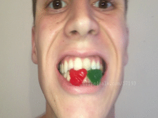 best of Bear and candies vore gummy
