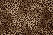 best of Skin coco leopard