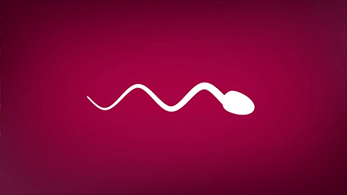 best of Underpants sperm leaked from vagina