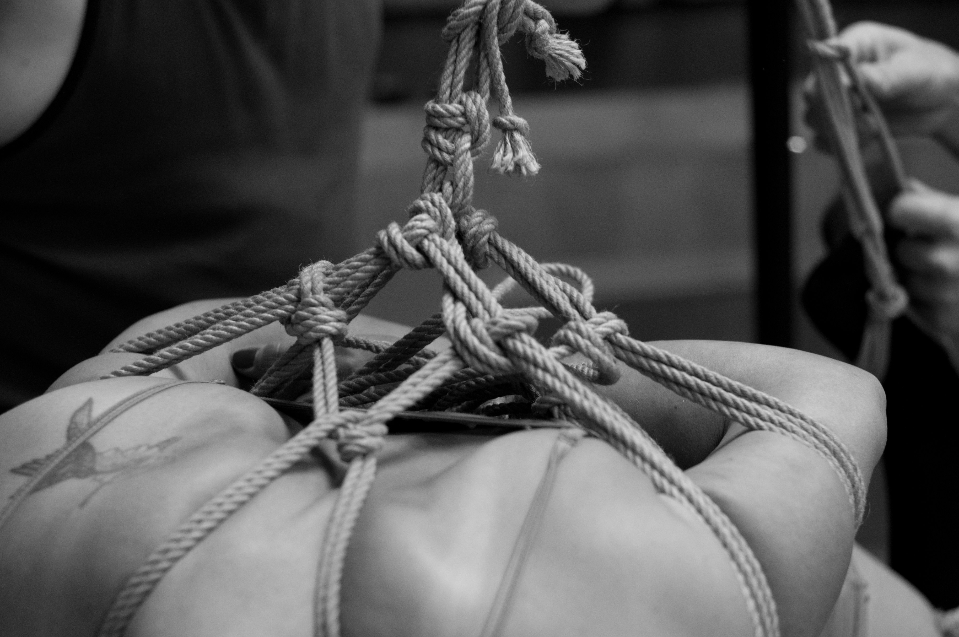 WMD reccomend Learn bondage knots