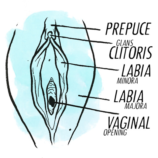Claws reccomend clit howto