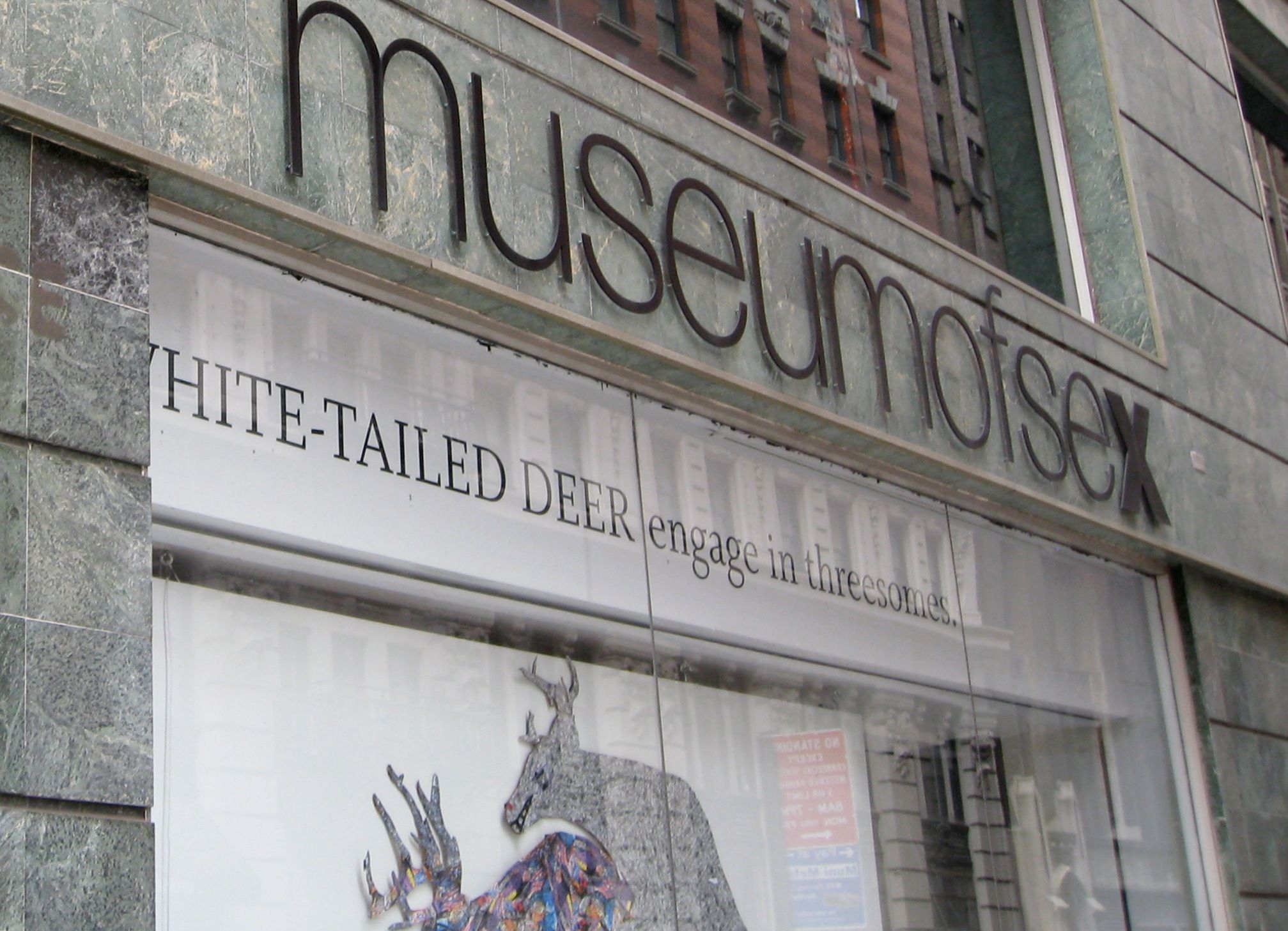 Nightcap reccomend Asian museum new york city