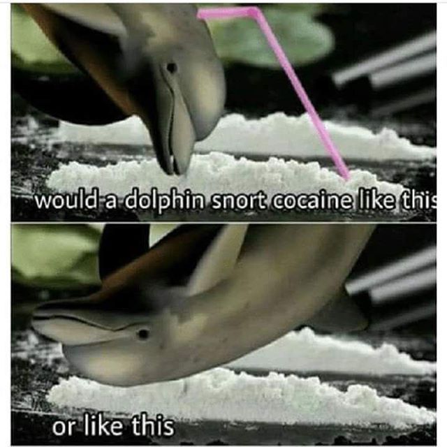 best of Suck dolphin penis