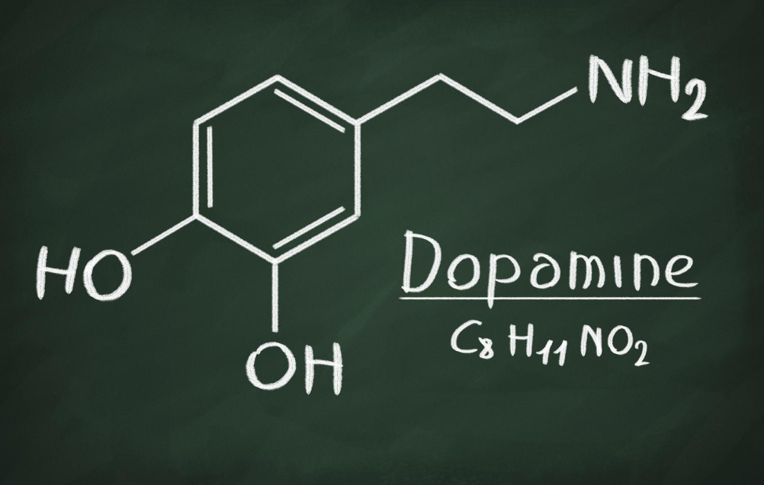 Dopamine in orgasm